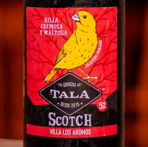 Etiqueta de la cerveza Tala Scotch Jiguero Dorado. Etiqueta de la cerveza premium Loica Pampeana. Cada estilo de TALA está representado por un ave autóctona de las sierras de Córdoba. La elección surge del interés de Martín por el avistaje de aves y del vínculo con la naturaleza cordobesa.