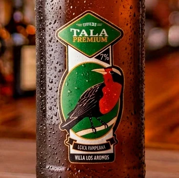 Etiqueta de la cerveza Tala premium Loica Pampeana. Cada estilo de TALA está representado por un ave autóctona de las sierras de Córdoba. La elección surge del interés de Martín por el avistaje de aves y del vínculo con la naturaleza cordobesa.