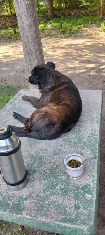 WhatsApp Image 2025-04-27 at 13.38.33