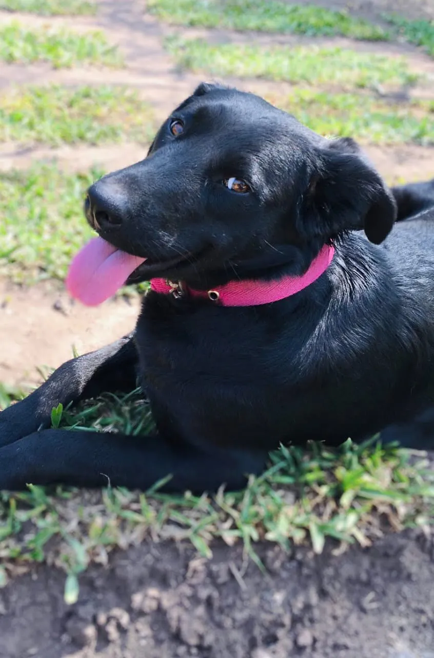 WhatsApp Image 2025-04-27 at 13.38.55