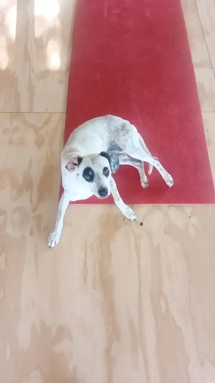 WhatsApp Image 2025-04-27 at 23.01.39