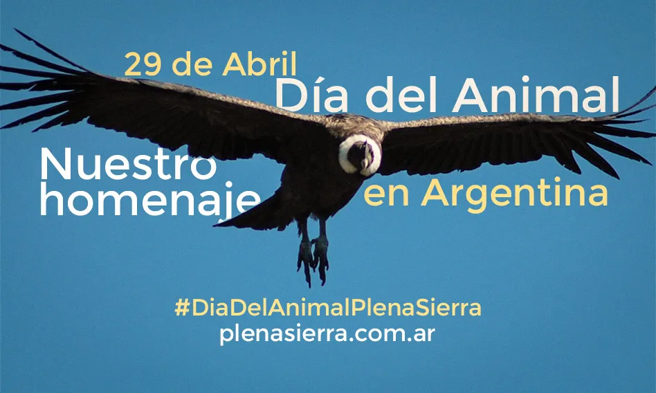 portada_DíaDelAnimal