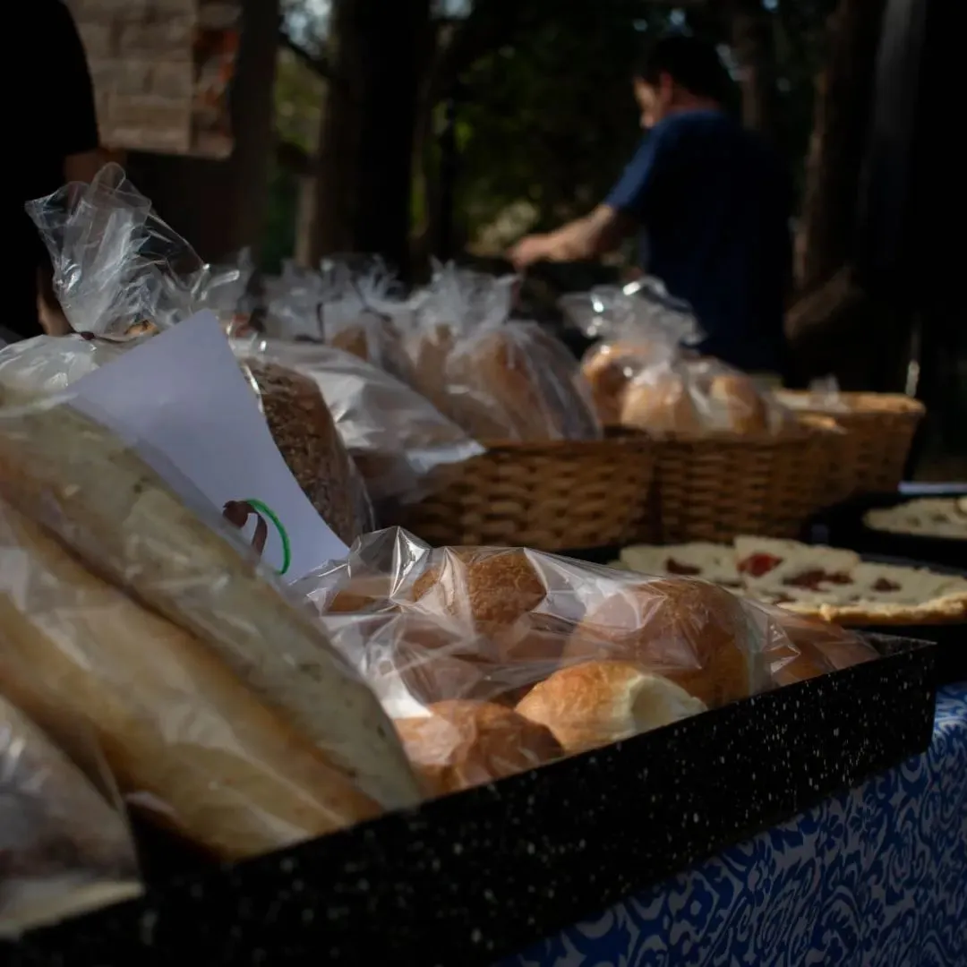 productos de patay cami