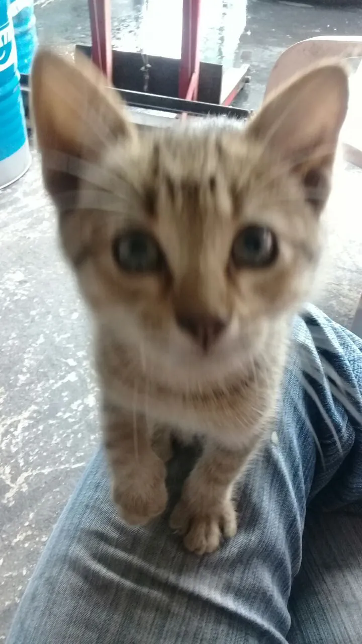 WhatsApp Image 2025-04-28 at 14.23.25