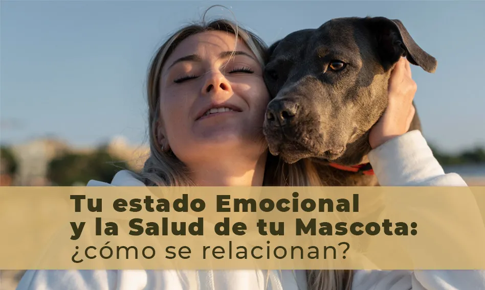 EmocionesMascotas_948x568