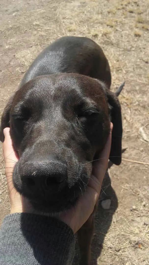 481665603_669786652238774_7369433932452952681_n