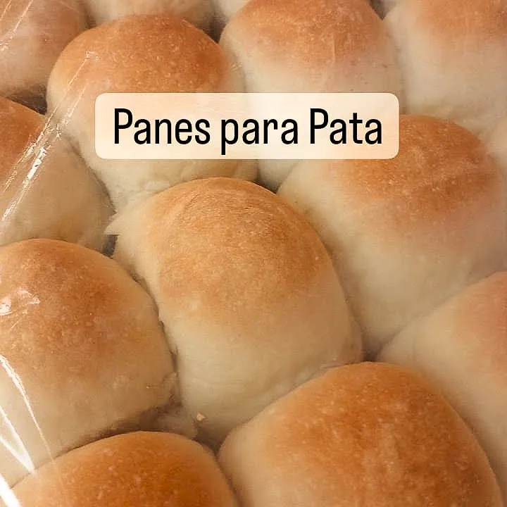 WhatsApp Image 2024-11-05 at 16.45.03 (2)