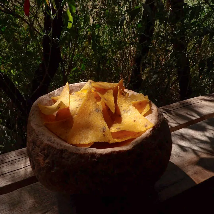 Casuela-de-piedra-con-nachos,-un-fondo-de-vegetacion-enmarañada