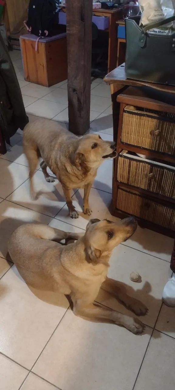 WhatsApp Image 2025-04-29 at 21.17.10