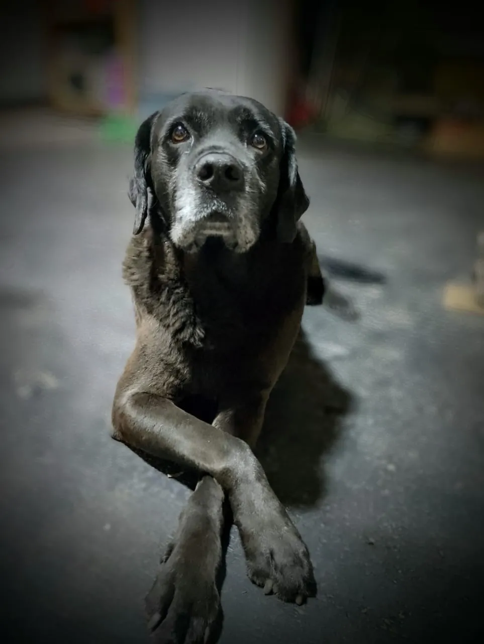 WhatsApp Image 2025-04-26 at 16.28.08