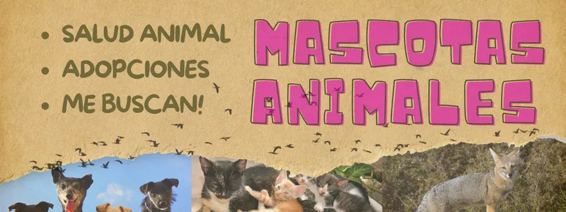 info mascotas y animales, salud, adopciones, mascotas perdidas