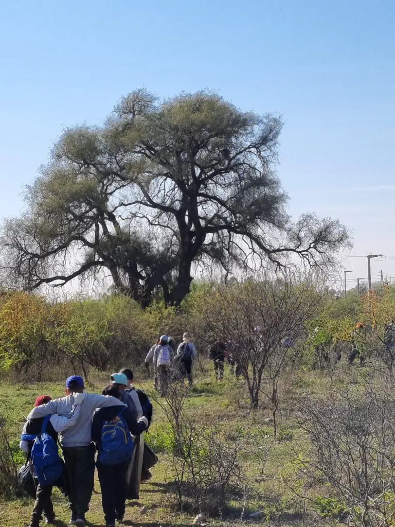 alta-gracia-promueve-el-cuidado-del-ambiente-con-acciones-comunitarias-1