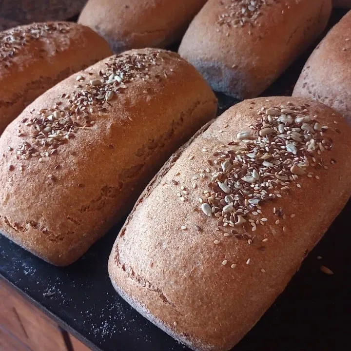 WhatsApp Image 2024-11-05 at 16.45.02