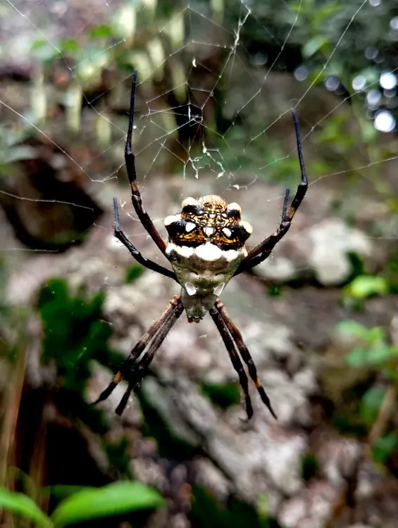 WhatsApp Image 2025-04-27 at 15.00.35