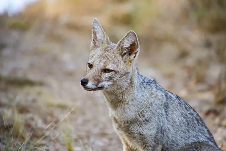 474521089_18261542263283306_5660016708684528628_n