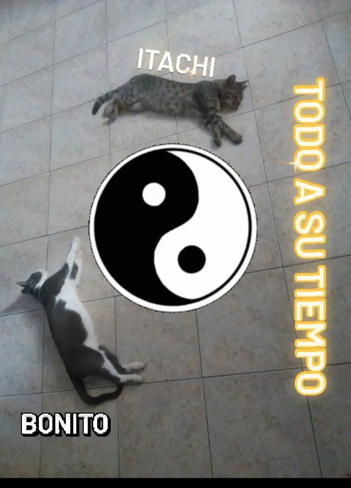 WhatsApp Image 2025-04-28 at 19.10.14(1)