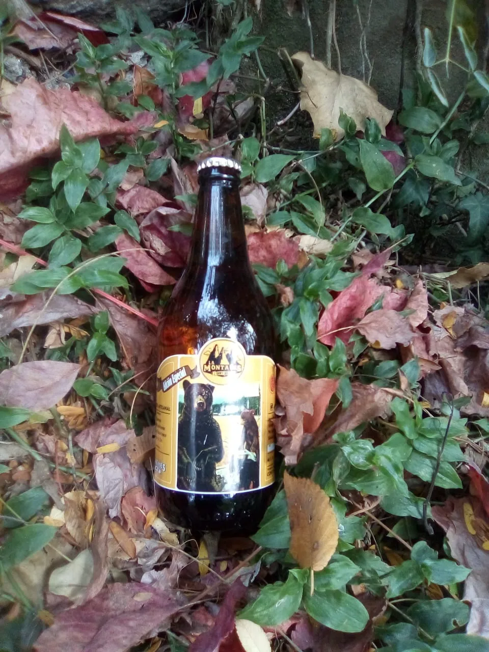 WhatsApp Image 2025-04-16 at 19.46.07