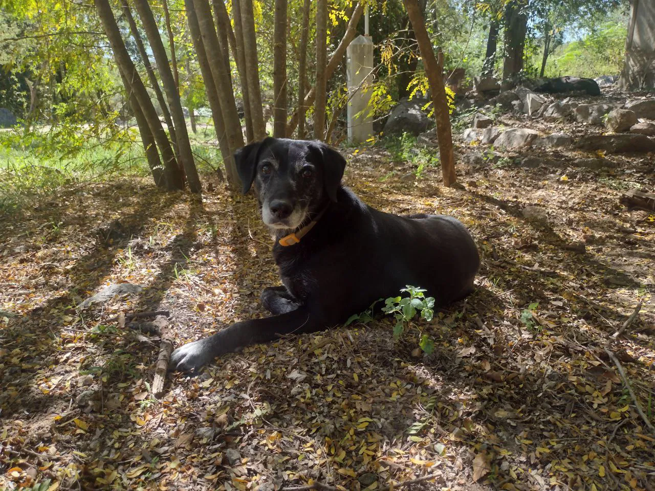 photo_2025-04-28_19-46-51