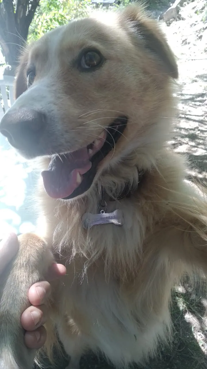 WhatsApp Image 2025-04-28 at 15.56.09