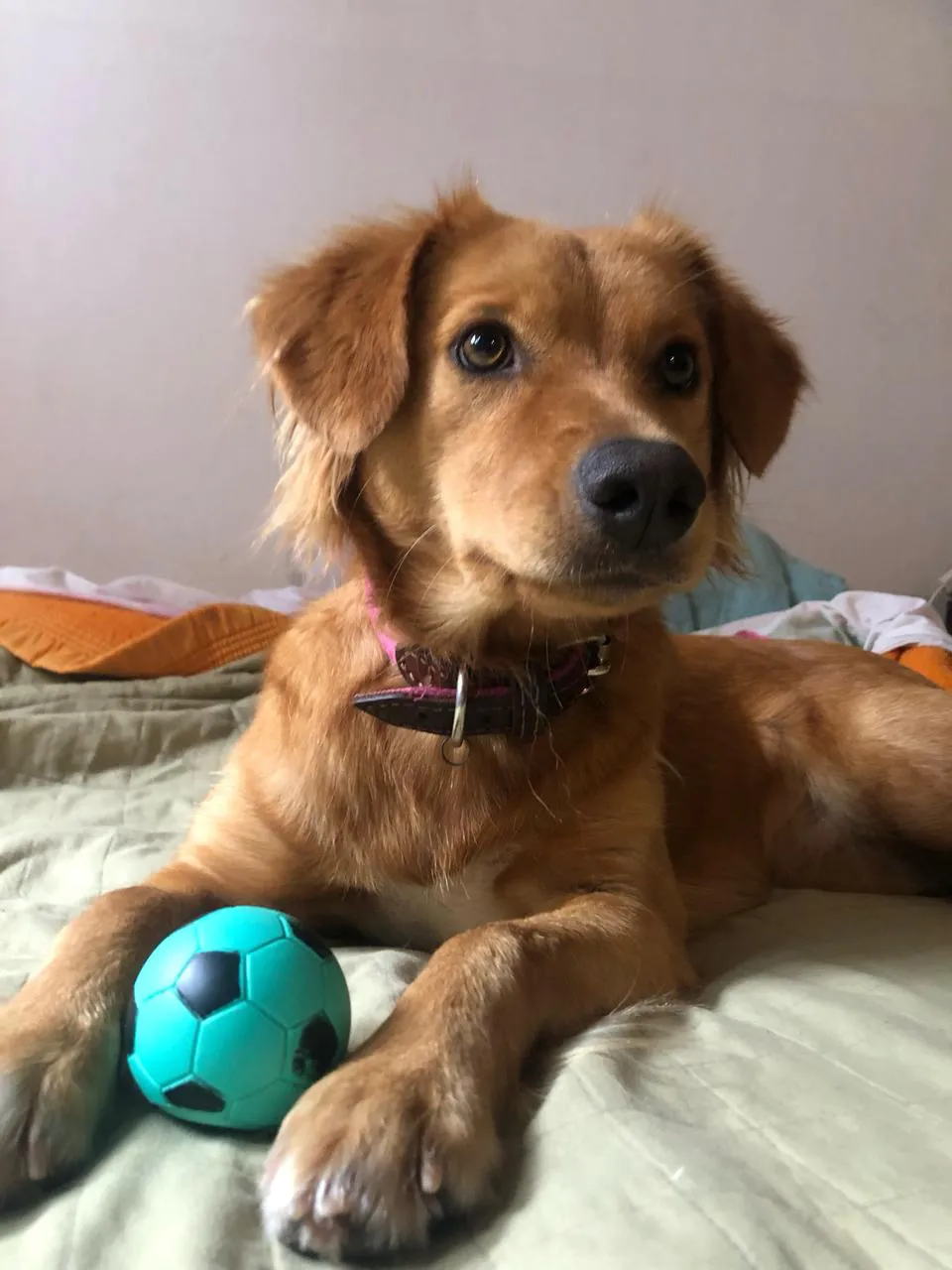 WhatsApp Image 2025-04-27 at 12.59.36