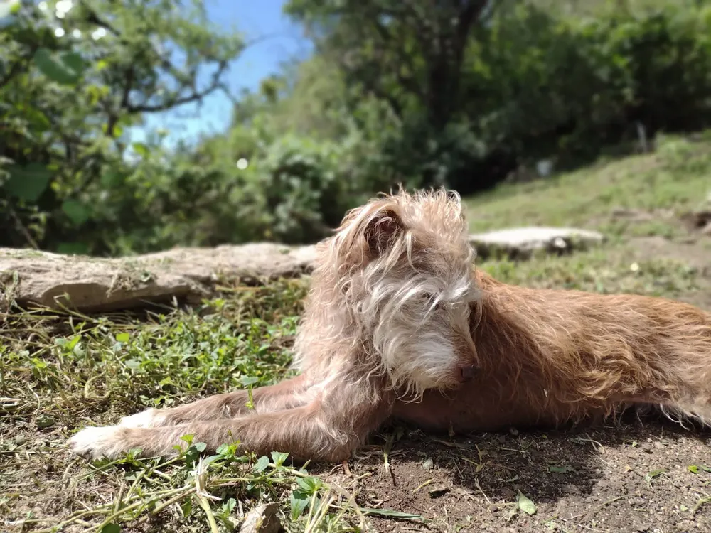 WhatsApp Image 2025-04-27 at 13.41.59