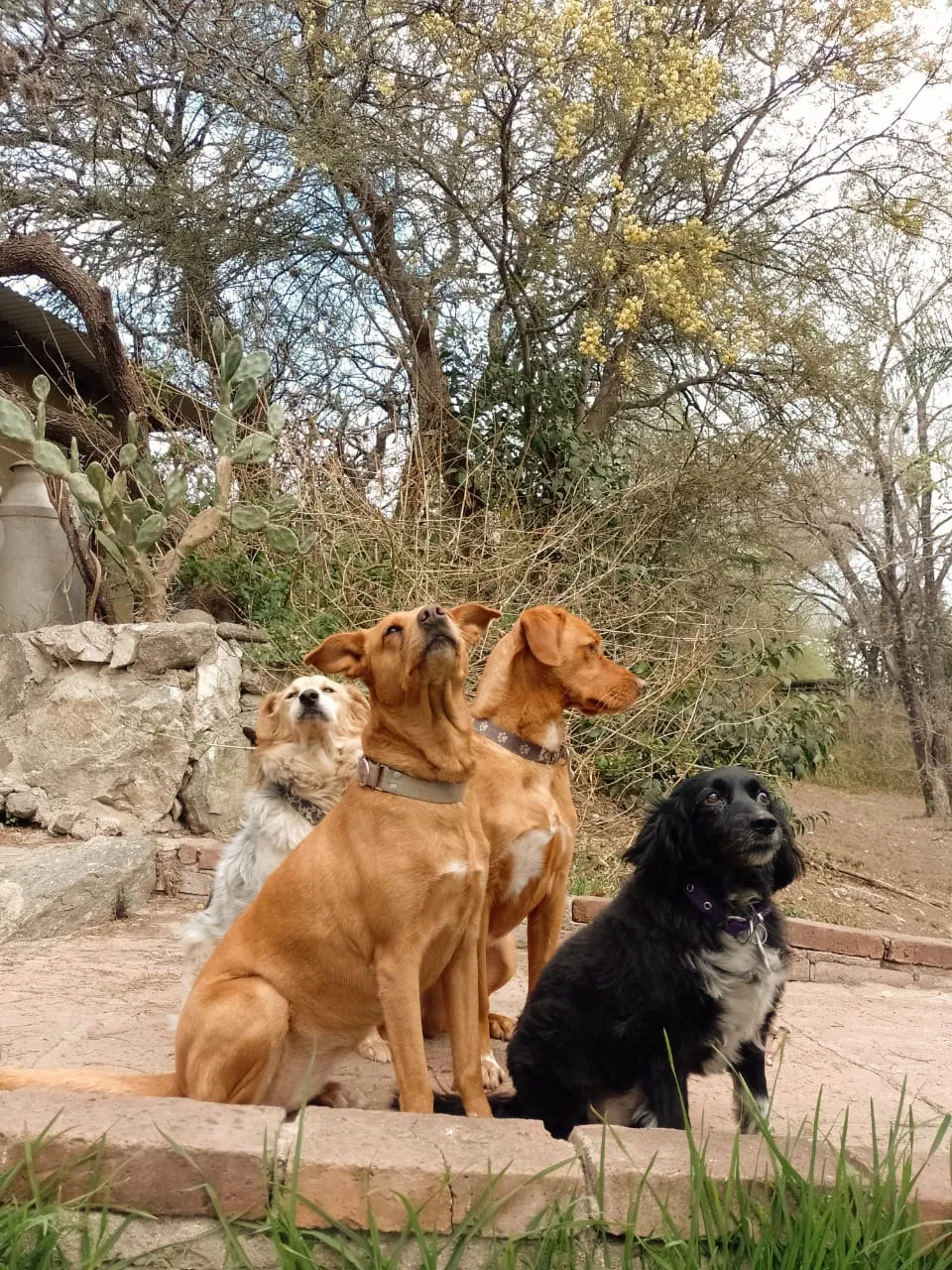 WhatsApp Image 2025-04-27 at 13.45.25