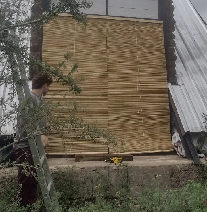 WhatsApp Image 2024-11-27 at 23.42.31