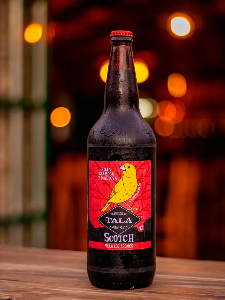 Jiguero dorado - SCOTH. Una roja pensada para quienes disfrutan lo simple, bien hecho. Cremosa, maltosa y de baja graduación alcohólica, entra suave y se deja tomar sin cansar.