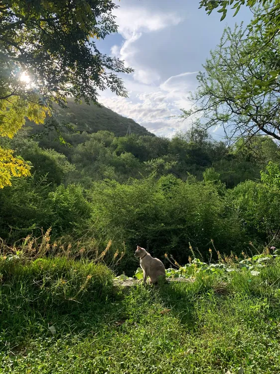 WhatsApp Image 2025-04-27 at 18.29.05